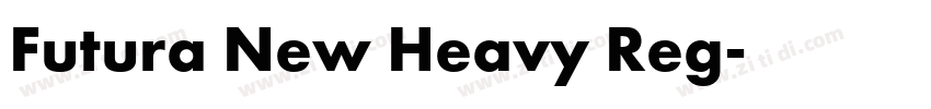 Futura New Heavy Reg字体转换